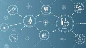 What are the Different Phases of Clinical Trials? 