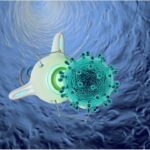 the landscape of mrna nanomedicine