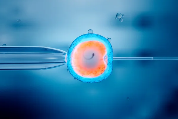 IVF Treatments