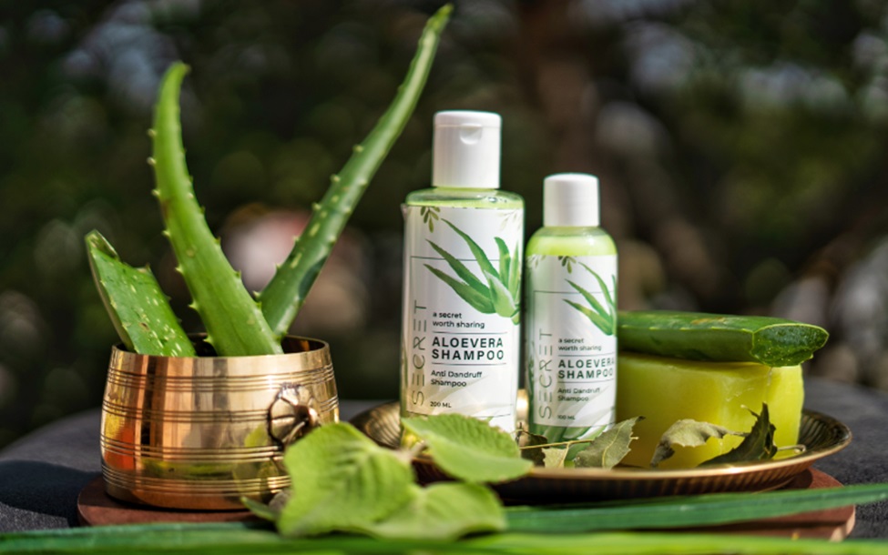 Herbal Hair Loss Shampoos in Singapore: Sulphate-Free Formulas for Growth